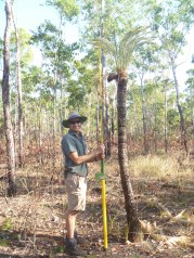 Brett on Melville Island